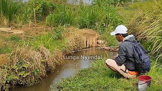 Beruntung sekali Nemu Spot Mancing Seperti ini Bikin Betah Mancingnya [upl. by Fabian348]