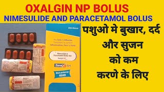 Oxalgin Np Bolus  Nimesulide And Paracetamol Bolus [upl. by Yllib873]