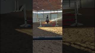 no stirrup jump horse equestrian [upl. by Shaughnessy]