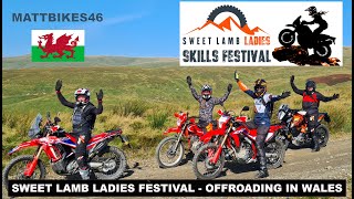 Sweet Lamb Ladies Skill Festival  Motorcycle Off Roading Wales [upl. by Aisek31]