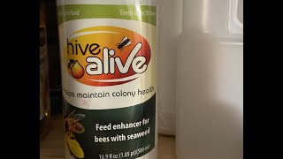 Supplements Part 2 for Honeybees  Strong Microbials Bee Bites vs Hive Alive Pollen Patties [upl. by Jeni602]