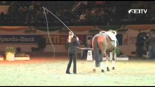 Baltic Horse Show  Individual Top 3 Female Vaulters [upl. by Benjie609]