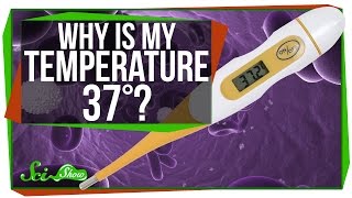 Why Is My Body Temperature 37 Degrees [upl. by Demetre]