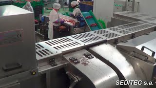 MCF500 Series 2021 Line of 2 MCF500 strawberry capping machines in Spain [upl. by Onitnas]