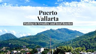 Puerto Vallarta Walking to Colonia Versalles and some local beaches [upl. by Nuawaj]