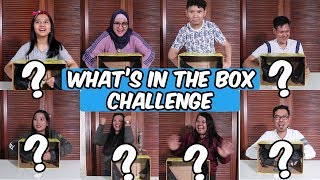 Whats in the Box Challenge  with DKN 2 Cast [upl. by Elocan]