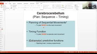 12c LIVE Cerebellar Functions and Clinical Disorders Intention tremor Dysmetria Ataxia MBBS [upl. by Enneibaf]