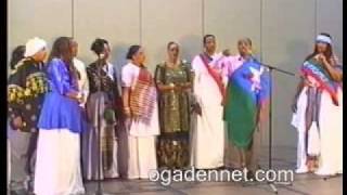 Kaftan maaha kulanka waaberi p9 [upl. by Baseler]