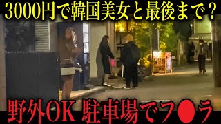 1万円で立ちんぼのパパ活女子と何人遊べるのか？新大久保（新宿百人町）編 [upl. by Adihaj]