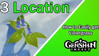 3 LOCATIONS TO GET VIOLETGRASS  Genshin Impact Guide [upl. by Frerichs]