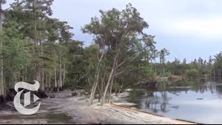 Sinkhole in Louisiana Swallows Trees  Caught on Tape 2013  The New York Times [upl. by Calvin957]