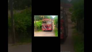 Omaya red prensses in rathnapura ❤️❤️ youtube shorts bus [upl. by Vange]