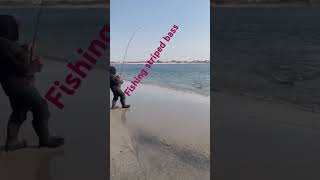 Fishing striped bass [upl. by Hanselka]