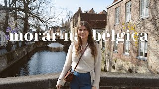 Morar legalmente na Bélgica  Visto de estudante trabalho au pair e coabitação  Romina Lange [upl. by Arraek24]