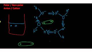 Hydrophilic hydrophobic [upl. by Inaleon508]