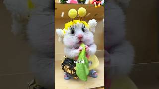 Will a hamster be given as a gift when you buy a courier hamsters cute animals lovestory [upl. by Sixela148]