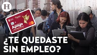 Arrancó el programa de Apoyo al Desempleo para el Bienestar en en el Edomex ¿Cómo obtenerlo [upl. by Capwell]