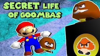 SM64 Bloopers SECRET LIFE OF GOOMBAS [upl. by Atteynot286]