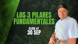 Los tres pilares fundamentales [upl. by Tereb]