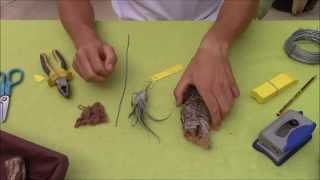 How to attach Tillandsias Planta Brutt Video 14 [upl. by Aitnecserc572]