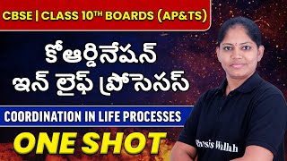 కోఆర్డినేషన్ ఇన్ లైఫ్ ప్రోసెసస్ In One Shot  10th CBSEAP Boards Coordination in Life Processes [upl. by Macfadyn]