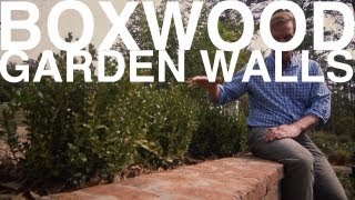 Boxwood Garden Walls  The Garden Home Challenge With P Allen Smith [upl. by Shani]