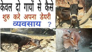 Dairy farming  how to start dairy with 2 cow for farmers amp entrepreneurs must watch [upl. by Esyahc]