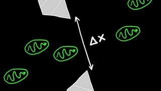 Heisenbergs Uncertainty Principle Explained [upl. by Erelia]