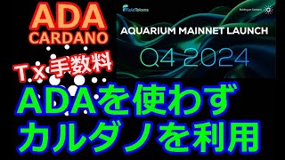 【カルダノADA 10万円勝負】20241029 第2027回 ADAを使わずカルダノを利用 758799円 6588 [upl. by Icats972]