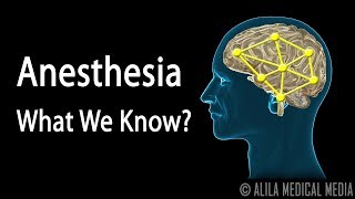 Neuroscience Basics Anesthesia How it Works Animation [upl. by Dane]