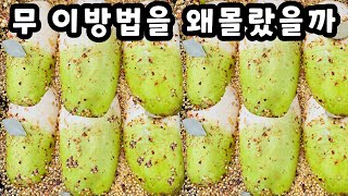 💚무 이걸 왜 몰랐죠 이렇게 맛있다니 놀랍습니다 한통 가득 만들어도 금방 다 먹어버립니다 [upl. by Hna797]