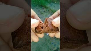 Britannia Cake Gobbles Choco Chill shortsvideo [upl. by Kress]