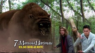 7 MANUSIA HARIMAU  Karena dendam Rajo Langit menyerang Kumayan [upl. by Siugram]