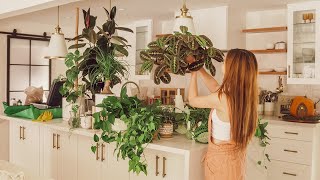 My Peaceful Houseplant Tour 30 Plants  Top 11 Container Gardening Tips [upl. by Nilam]