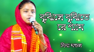 বুঝিলে বুঝিতে রে শ্যাম আমার মনের বেদনা  লালন কন্যা দিনা মন্ডল গানSham tumi lila bujho mon bujho na [upl. by Sussna]