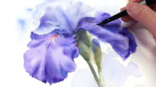 How To Paint An Iris Flower In Watercolor Tutorial [upl. by Atikin]