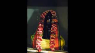 Cavadee st andre 2016 au tenple association shiva soupramanien [upl. by Pitt10]