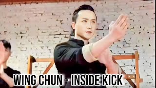 Master Tu Tengyao Wing Chun  Inside Leg Kick [upl. by Kendrah]