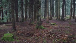 RANDONNEE MATINALE EN FORÊT AVEC TOUTOUNE  BRRR IL FAIT FROID AU PRINTEMPS [upl. by Ondrea773]