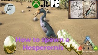 Ark Survival Evolved How to spawn a Hesperornis [upl. by Nayrb618]