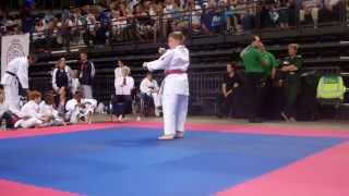 GKR Karate World Cup 2015 KIERAN DUNCAN Kata Bassai Dai [upl. by Dionisio619]