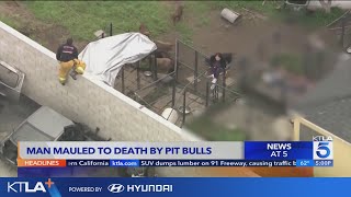 Compton pit bull breeder mauled to death by his own dogs [upl. by Eelytsirk]