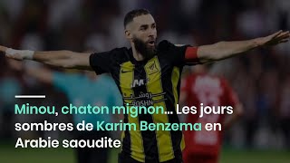 Minou chaton mignon… Les jours sombres de Karim Benzema en Arabie saoudite [upl. by Brocklin262]