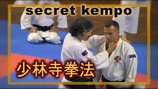 Master Class Aosaka Secret techniques selfdefense pressure points Shorinji Kempo 武道少林寺拳法 [upl. by Nolava]