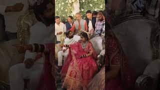 Samar Bhaiya Ka Reception  samarsinghh shortfeed short shorts trending viral youtubeshorts [upl. by Nagard]