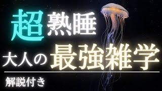 【5分で寝落ち・睡眠用】タメになる大人の雑学 [upl. by Macilroy]