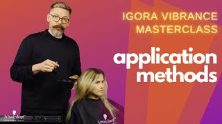 Lowlight Application using IGORA VIBRANCE  Application Methods  Schwarzkopf Professional [upl. by Ackerley]