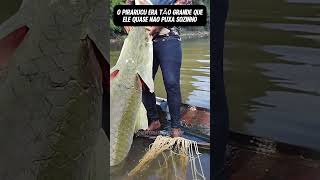 Pirarucu Parte 140  😱 subscribe pescaria pescador shorts youtube peixe recap curiosidades [upl. by Ahsekyt267]