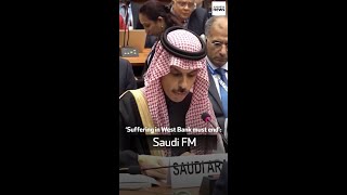 ‘Suffering in West Bank must end’ Saudi FM [upl. by Haliek603]