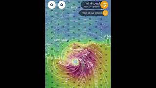 Hurricane Ida August 2021 Ground Surface Winds Near Landfall  Ventusky App [upl. by Babbette125]